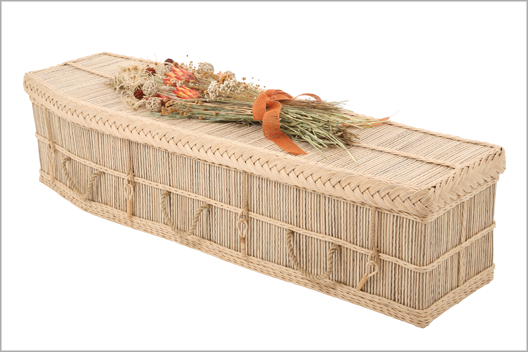 Cocostick-traditional-shape